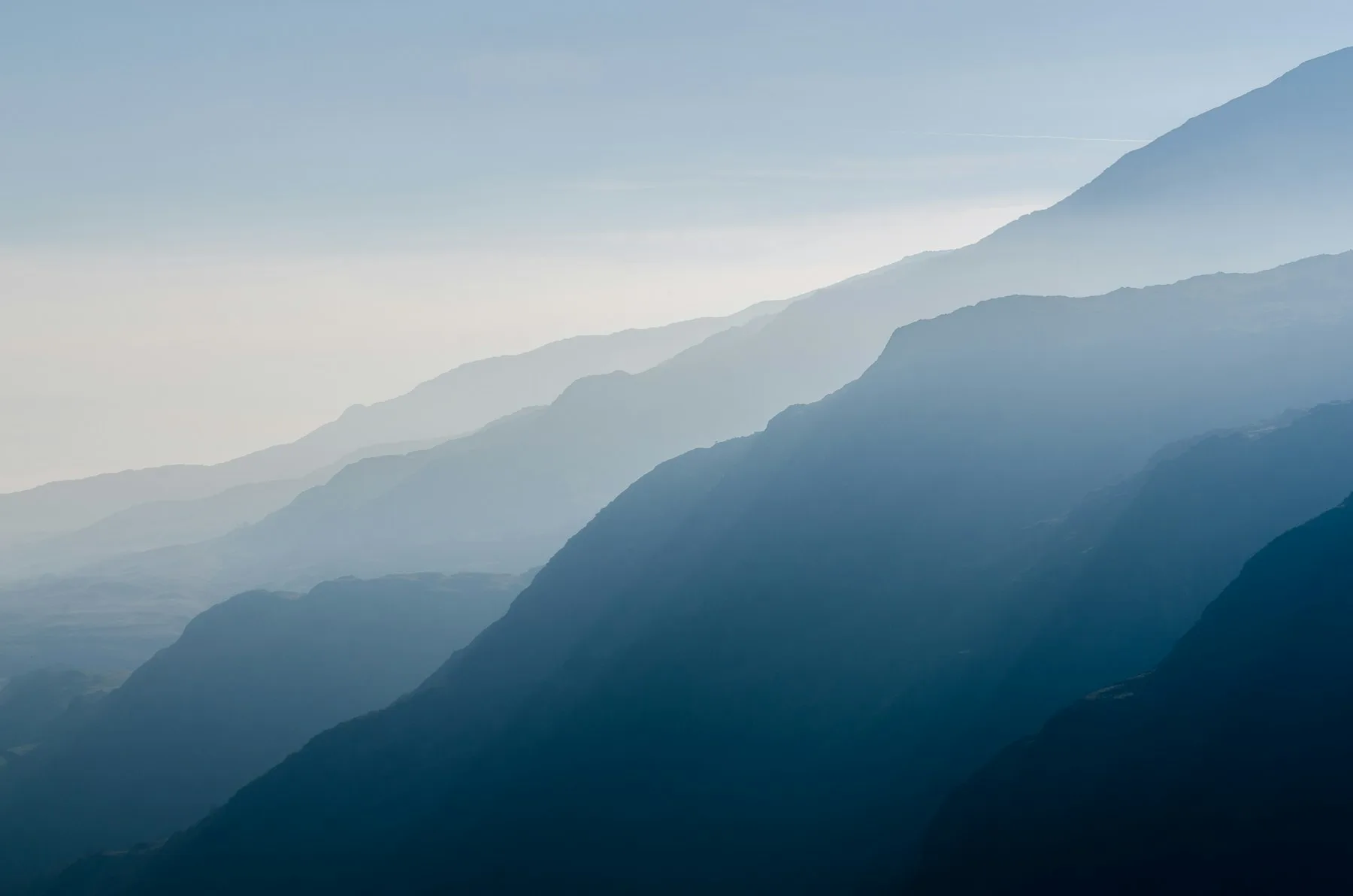 Saguaro on the ridgeline at golden hour